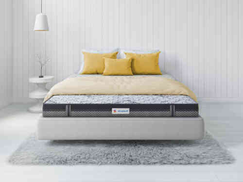 Sleepwell mattress 2024 5x6 price